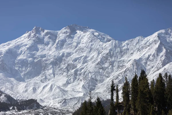 Nebe Zemi Nanga Parbat Mountain 126 Fairy Meadows Gilgit Baltistan — Stock fotografie