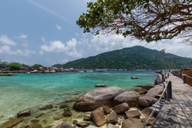 Tropik cennet adası, Nang Yuan adası veya Koh Nang Yuan Adası, Koh Tao adası, Surat Thani, Tayland.