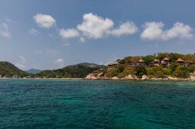 Tropik cennet adası, Nang Yuan adası veya Koh Nang Yuan Adası, Koh Tao adası, Surat Thani, Tayland.
