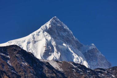 Shispar Sar ya da Shispare Sar, Pakistan 'ın Gilgit-Baltistan bölgesinin Karakoram bölgesinin en batısında yer alan Batura Muztagh' ın yüksek dağ zirvelerinden biridir.,