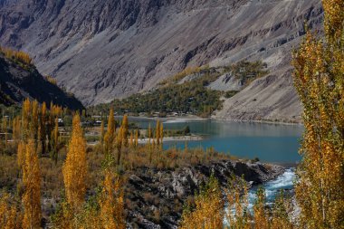 Arka planda Hindu Kush dağlarının olduğu sonbahar manzarası çok güzel, Gahkuch, kuzey Pakistan.