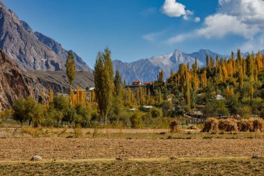 Arka planda Hindu Kush dağlarının olduğu sonbahar manzarası çok güzel, Gahkuch, kuzey Pakistan.