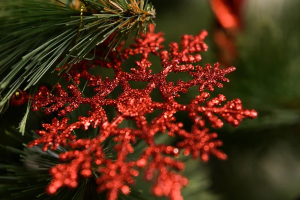 Noel ağacında kırmızı bir kar tanesi. Noel ağacı oyuncağı. Makro enstantane. Yüksek kalite fotoğraf. Noel dekor geri grond