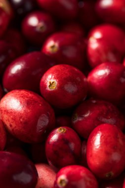 Çiğ kırmızı organik taze kızılcıklar kasede