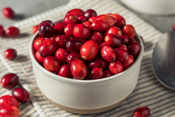 Cranberries Frescas Orgânicas Vermelhas Cruas Uma Tigela — Fotografia de Stock