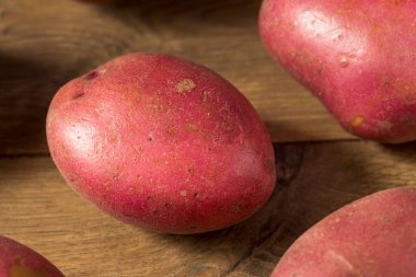 Bir demet çiğ kırmızı organik patates