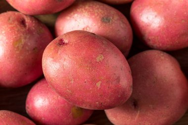 Bir demet çiğ kırmızı organik patates