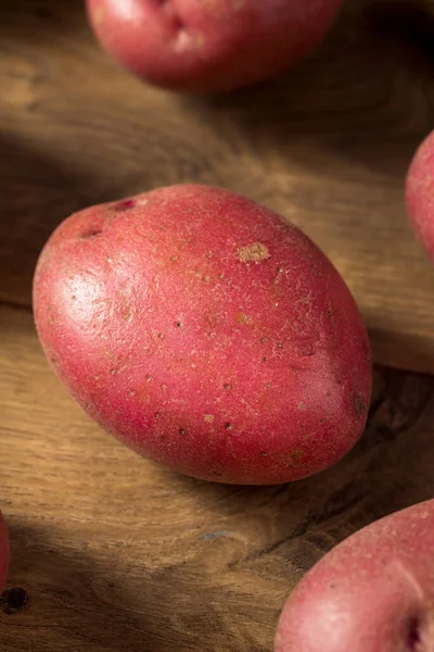 Bir Demet Çiğ Kırmızı Organik Patates — Stok fotoğraf