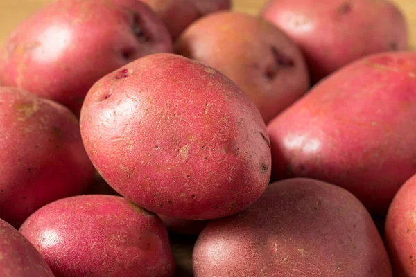 Сира Червона Органічна Картопля Бункері — стокове фото