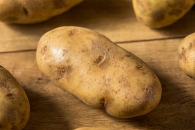 Ev yapımı Organik Kahverengi Russet Patatesleri