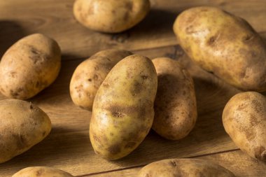 Ev yapımı Organik Kahverengi Russet Patatesleri