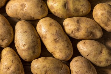 Ev yapımı Organik Kahverengi Russet Patatesleri
