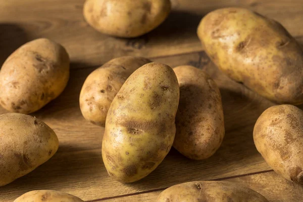 집짓기 Brown Russet Potatoes — 스톡 사진