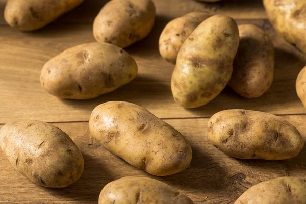 Домашний Органический Коричневый Картофель Пучке — стоковое фото