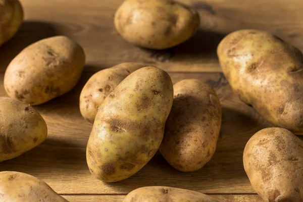 Homemade Organic Brown Russet Potatoes Bunch — Stock Photo, Image