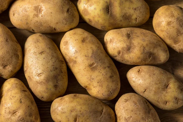 Hausgemachte Bio Brown Russet Kartoffeln Bündel — Stockfoto