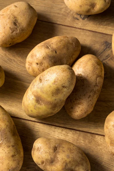 Patatas Russet Marrones Orgánicas Caseras Racimo — Foto de Stock