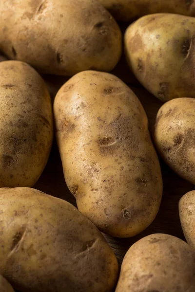 Patatas Russet Marrones Orgánicas Caseras Racimo —  Fotos de Stock