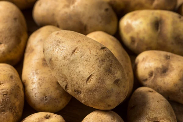 Hausgemachte Bio Brown Russet Kartoffeln Bündel — Stockfoto