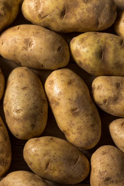 Domowej Roboty Organiczne Brązowe Ziemniaki Russet Kilka — Zdjęcie stockowe