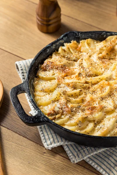 Homemade Cheesy Potatoes Gratin Pan — Stock Photo, Image