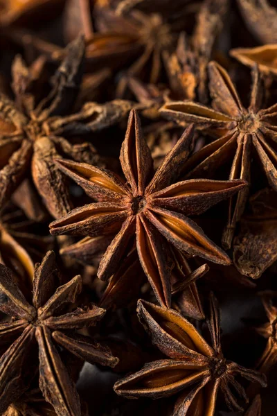 Raw Brown Organic Star Anise Spice Een Bunch — Stockfoto