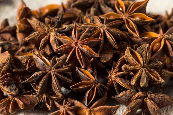 Surowy Brown Organic Star Anise Spice Bunch — Zdjęcie stockowe