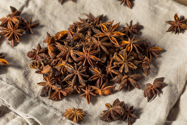 Raw Brown Organic Star Anise Spice in a Bunch