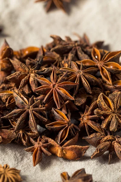Raw Brown Organic Star Anise Spice Bunch — Stock fotografie