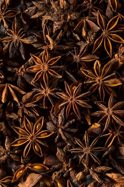 stock image Raw Brown Organic Star Anise Spice in a Bunch