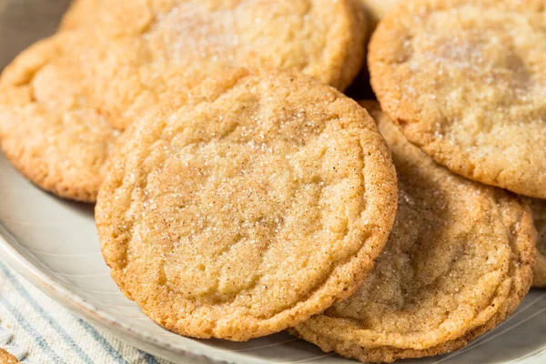 Hemlagade Ekologiska Snickerdoodle Cookies Tallrik — Stockfoto
