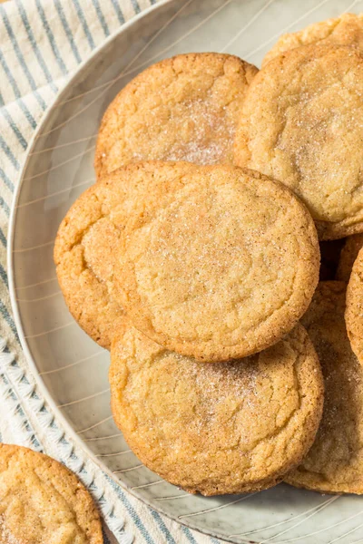 Homemade Organic Snickerdoodle Cookies Plate — 스톡 사진