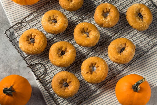 Zelfgemaakte Pompoen Spice Donuts Eten Voor Het Ontbijt — Stockfoto