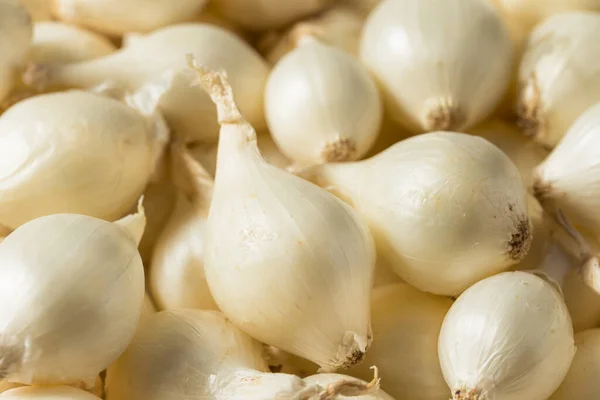 Raw White Organic Pearl Onions Bunch — Stock Photo, Image