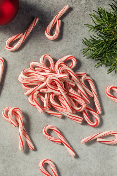 stock image Red and White Peppermint Mini Candycanes for Christmas