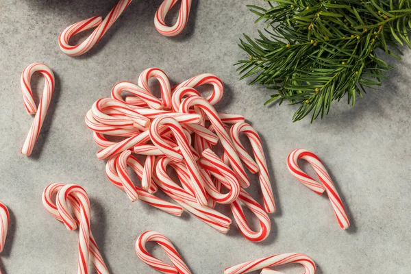 Mini Bastones Caramelo Menta Roja Blanca Para Navidad — Foto de Stock