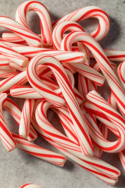 Röd Och Vit Pepparmynta Mini Candycanes Till Jul — Stockfoto