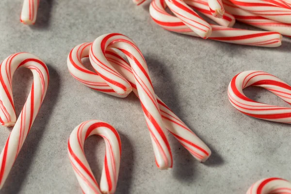 Rode Witte Pepermunt Mini Candycanes Voor Kerstmis — Stockfoto