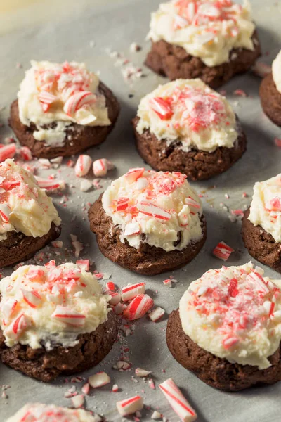 Homemade Peppermint Candycane Chocolate Cookies Christmas — Stock Photo, Image