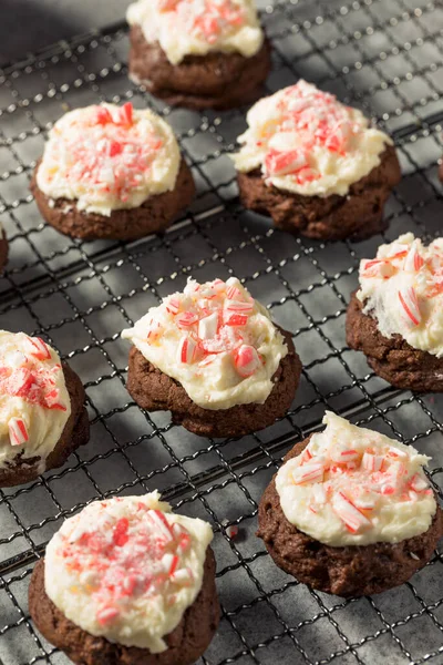 Stock image Homemade Peppermint Candycane Chocolate Cookies for Christmas