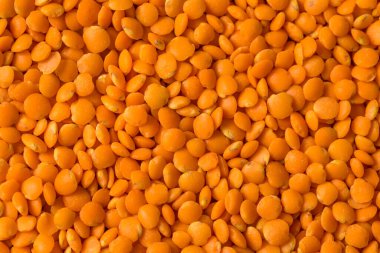 Kase içinde çiğ organik kırmızı mercimek.