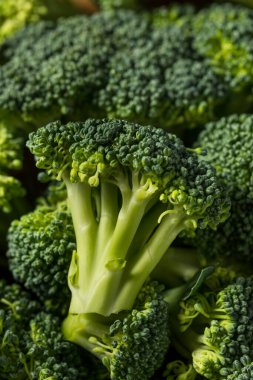 Raw Green Organic Broccoli Florets Ready to Cook