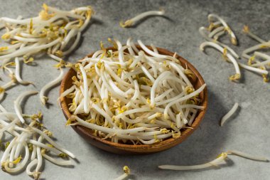 Raw White Organic Soy Bean Sprouts in a Bowl