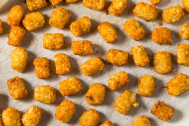 Homemade Baked Tater Tots Potatoes with Ketchup