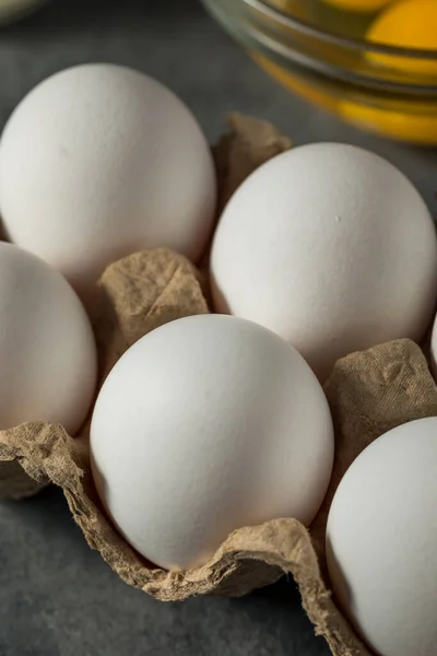 Raw Organic White Eggs Ready Bake — Stock Photo, Image