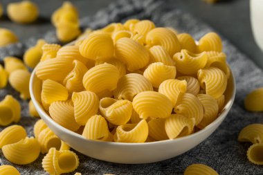 Italian Lumahce Media Pasta Shells in a Bowl