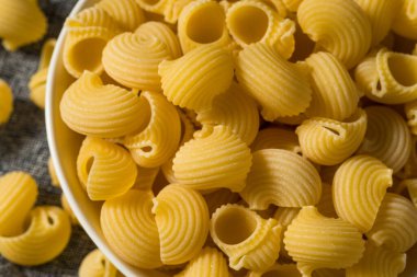 Italian Lumahce Media Pasta Shells in a Bowl