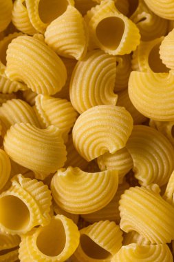 Italian Lumahce Media Pasta Shells in a Bowl