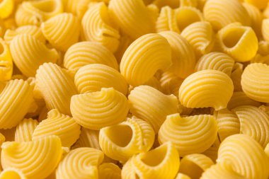 Italian Lumahce Media Pasta Shells in a Bowl