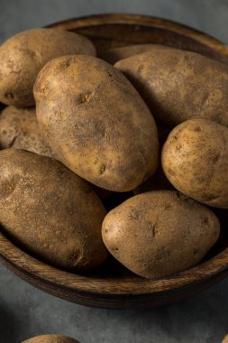 Raw Brown Organic Russet Potatoes in a Bowl